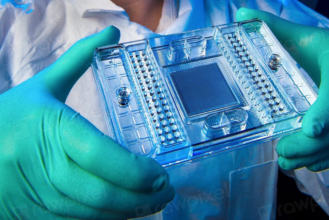 Mains gantées manipulant un produit